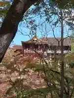 清水寺(京都府)