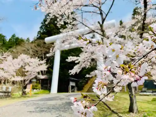 土津神社｜こどもと出世の神さまの鳥居