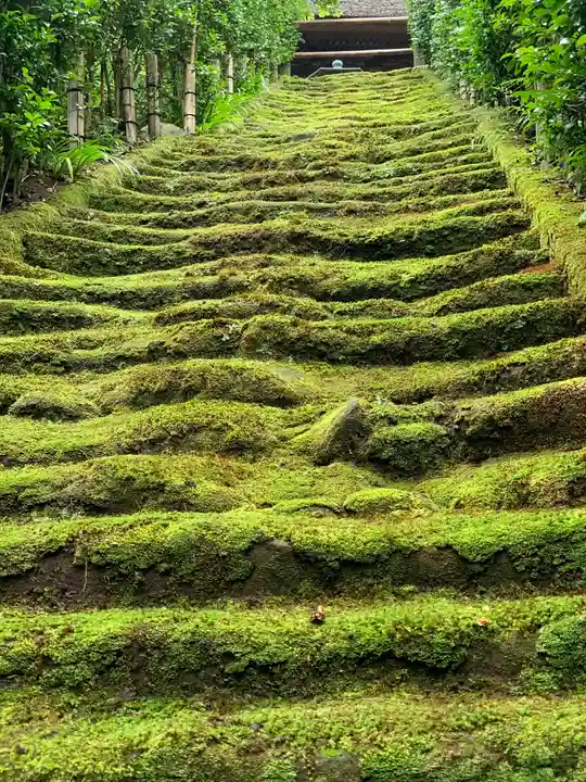 杉本寺のその他建物