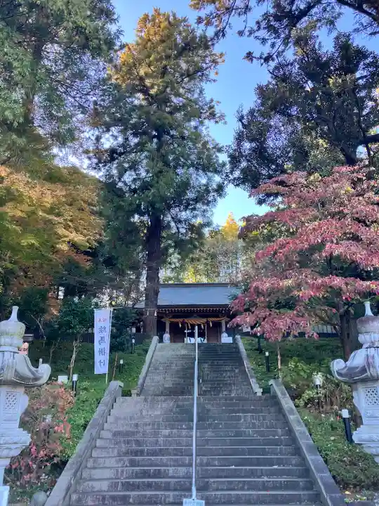 中氷川神社(埼玉県)