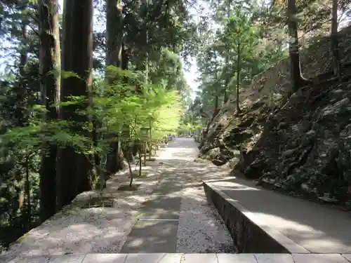 太龍寺(徳島県)