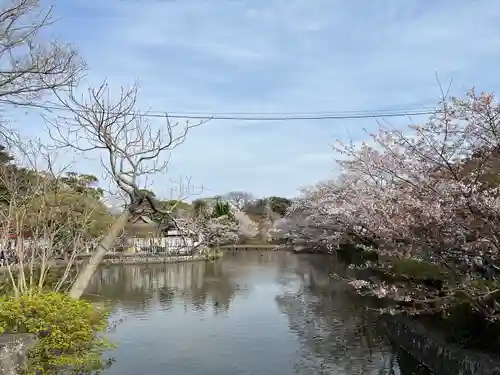 鶴岡八幡宮の庭園