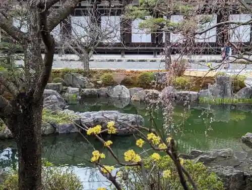 蓮華王院（三十三間堂）(京都府)