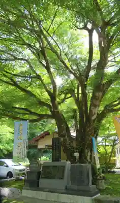 徳善院明王密寺(福島県)