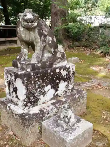 川津来宮神社の狛犬