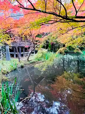中尊寺(岩手県)
