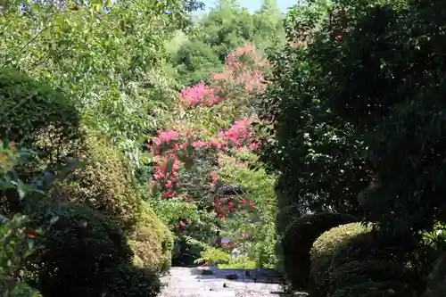 延命寺の庭園