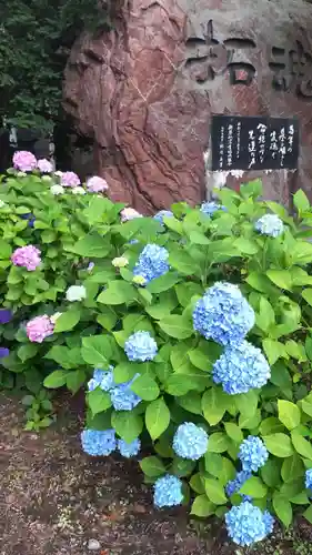 新琴似神社の自然