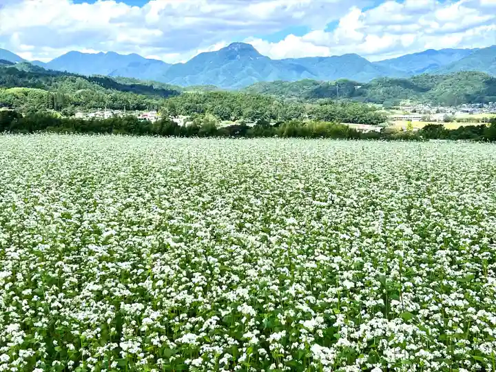 国宝 大法寺(長野県)
