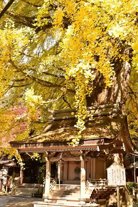 正法寺(滋賀県)