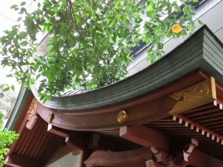 築土神社の本殿・本堂