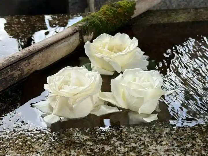 五大堂同聚院(京都府)