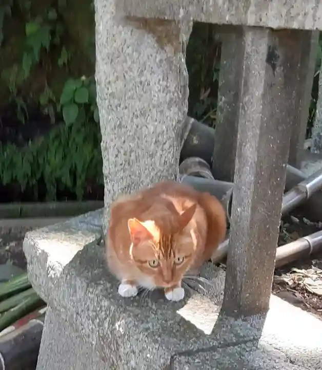 海南神社(神奈川県)