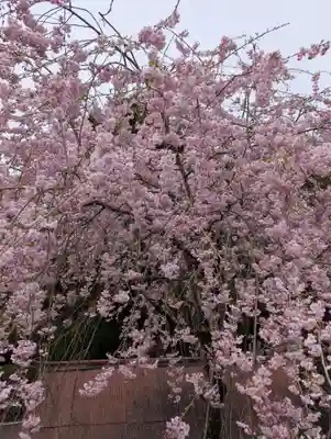 吉野水分神社（吉野町）(奈良県)
