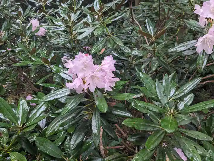観音寺(三重県)