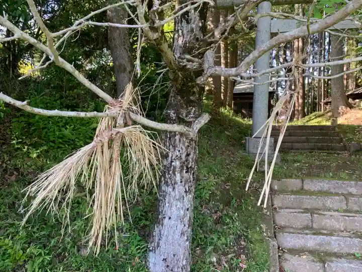 熊野神社の自然