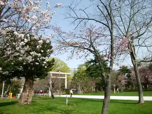 札幌護國神社の自然