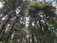 大宮温泉神社(栃木県)