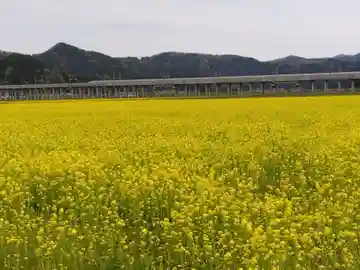 白山神社(福井県)