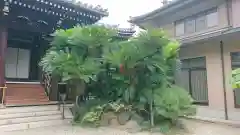 淨教寺の建物その他