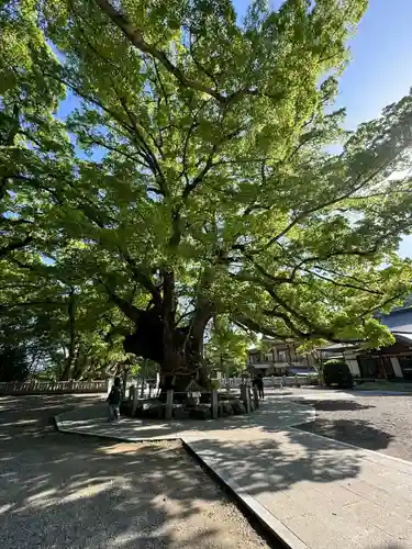 大麻比古神社(徳島県)