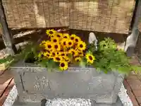 錦山天満宮の手水舎