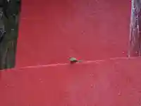 箱根神社の動物