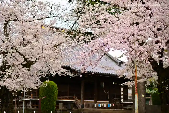 寛永寺(根本中堂)の本殿・本堂
