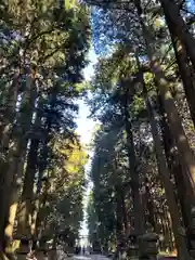 北口本宮冨士浅間神社(山梨県)