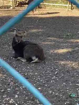 相州春日神社(神奈川県)