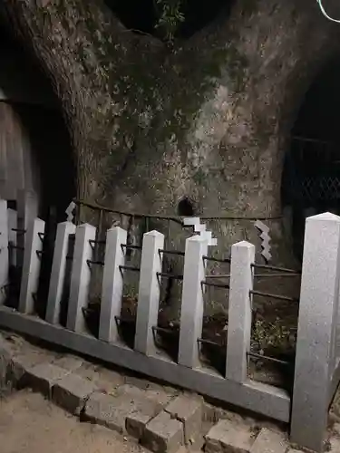 伯光神社の自然