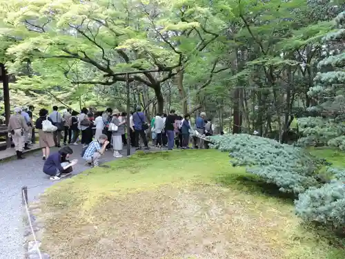 西芳寺(京都府)