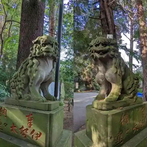 岩槻久伊豆神社の狛犬