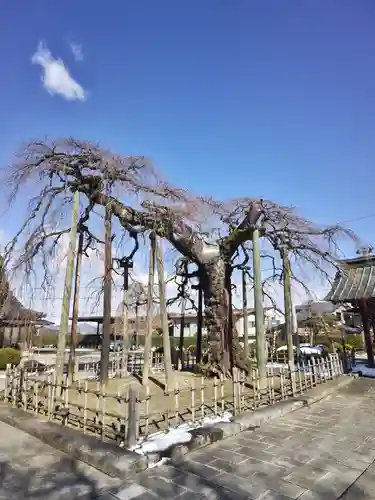 円東寺(福島県)