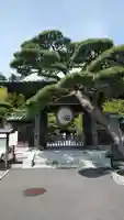 長谷寺の山門・神門