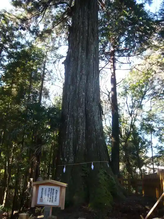 須山浅間神社(静岡県)