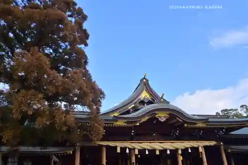 寒川神社(神奈川県)