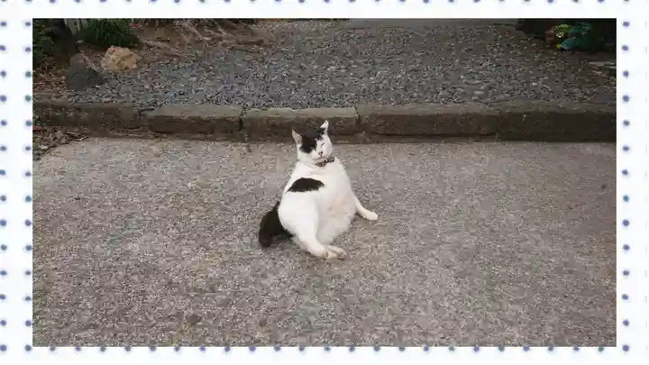 唐澤山神社(栃木県)