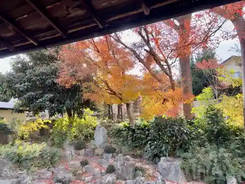 祥龍山 金剛寺(神奈川県)