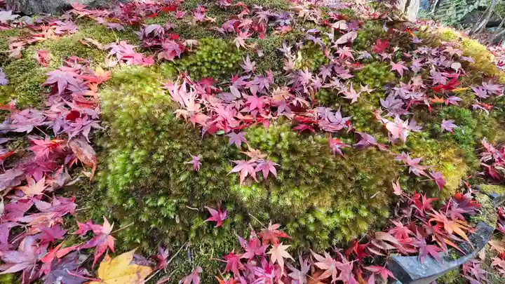 宝泉院(京都府)