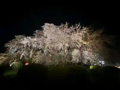 八坂神社(祇園さん)の{uncategorized: "未分類", other: "その他", undefined: "問題あり", building: "その他建物", grave: "お墓", sacred_gate: "鳥居", guardian: "狛犬", statue: "像", buddha: "仏像", history: "歴史", nature: "自然", garden: "庭園", animal: "動物", pagoda: "塔", temizu: "手水舎", mountain_gate: "山門・神門", sanctuary: "本殿・本堂", subordinate: "末社・摂社", art: "芸術", scenery: "景色", jizo: "地蔵", ema: "絵馬", goshuin: "御朱印", omikuji: "おみくじ", items: "授与品その他", amulet: "お守り", goshuincho: "御朱印帳", eats: "食事", festival: "お祭り", votive_dance: "神楽", shichigosan: "七五三参", wedding: "結婚式", experience: "体験その他", initially: "初詣", around: "周辺", anti_infection: "感染症対策"}