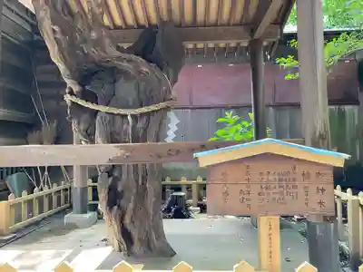 鶴嶺八幡宮(神奈川県)