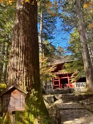 瀧尾神社（日光二荒山神社別宮）(栃木県)