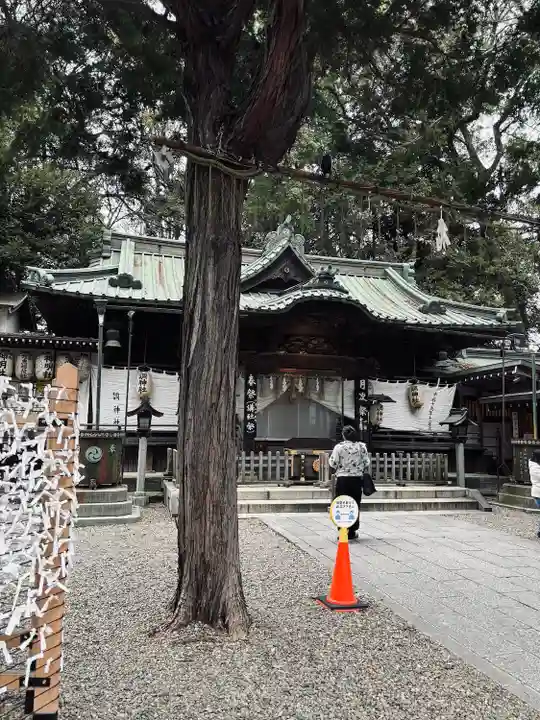 調神社(埼玉県)