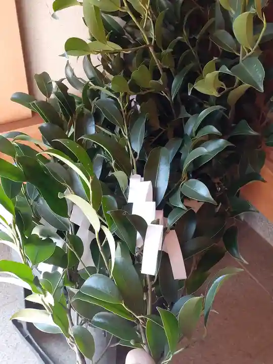 伏木香取神社(茨城県)