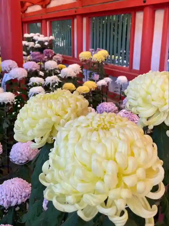 武蔵一宮氷川神社(埼玉県)