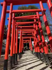 品川神社(東京都)