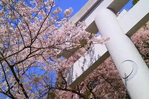 青葉神社の鳥居