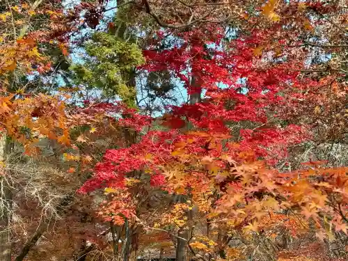 禅林寺（永観堂）(京都府)