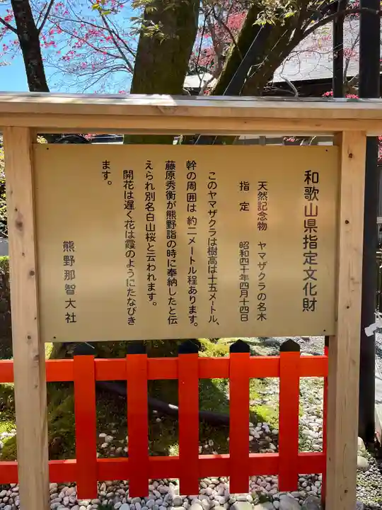 熊野那智大社(和歌山県)